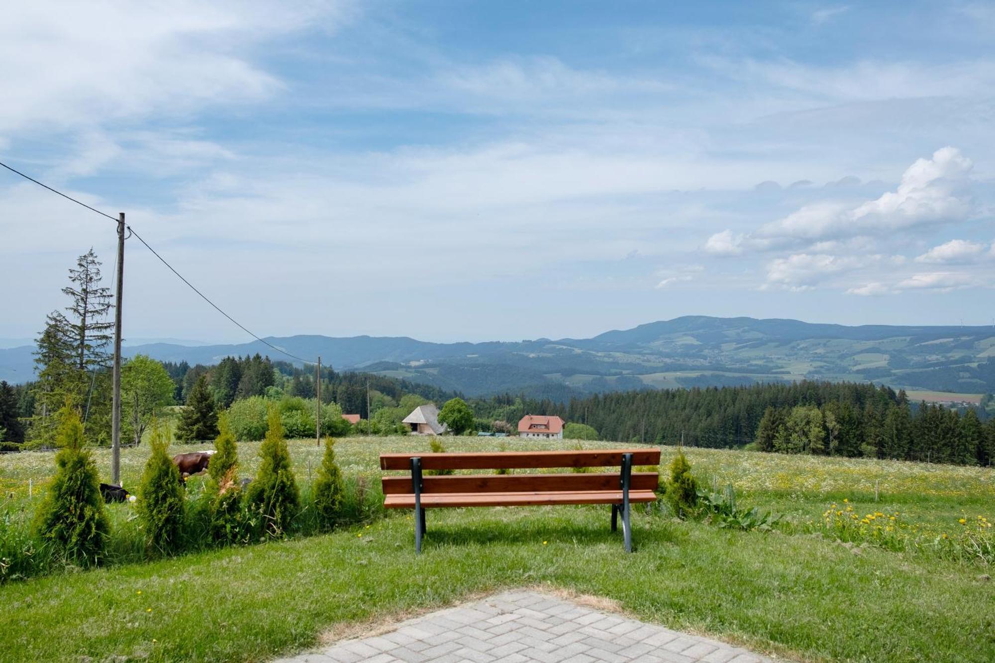 Apartament Baeuerleshuette Breitnau Zewnętrze zdjęcie